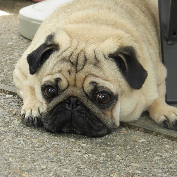 Meet your Posher, Catherine - Picture 1 of 1